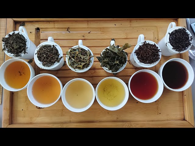 All About Tea - Session 1 - Introduction to the World of Tea #allabouttea