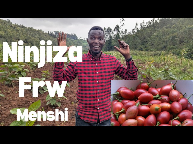 Bamusekaga ahinga ibinyomoro… Ubu afite abakozi benshi & amafaranga menshi! 😳
