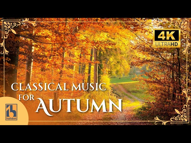 Classical Music for the Autumn | with Videos of Forests and Folliage in the Fall