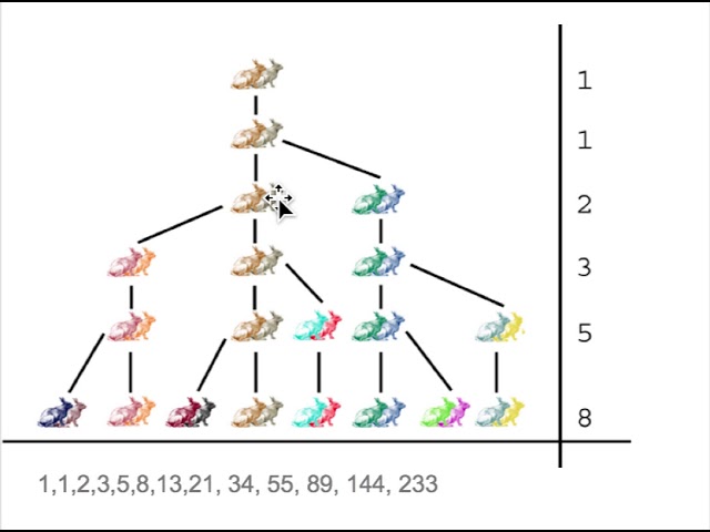 The Fibonacci Rabbit Problem