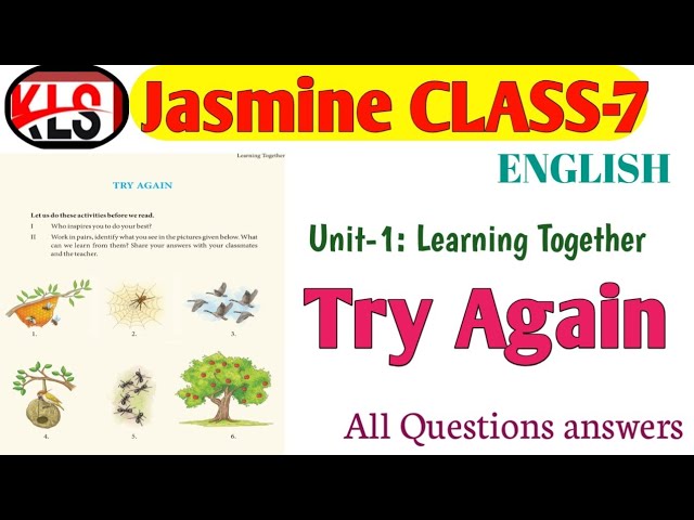 CLASS-7 ।। Try Again ।। JASMINE All questions answers 
