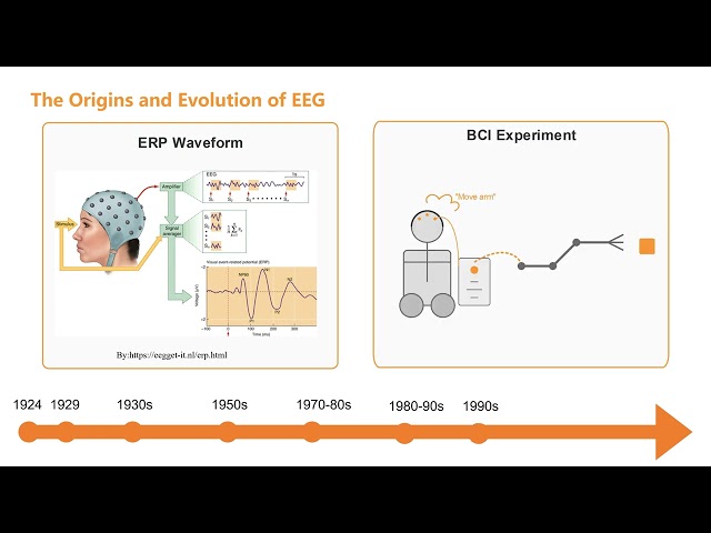 1-1 The Origins and Evolution of EEG