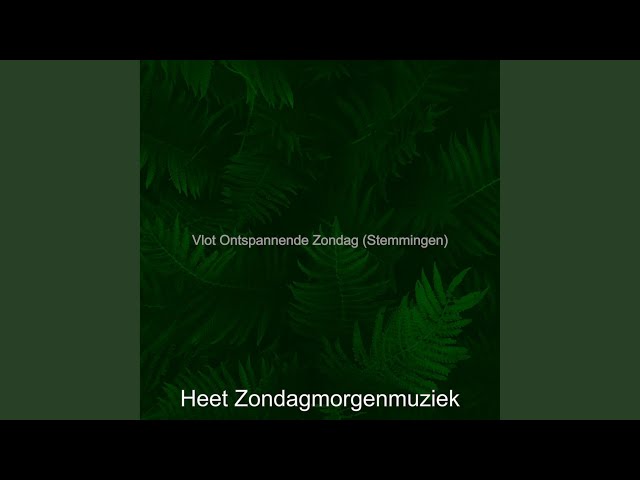 Muziek - Meeslepend