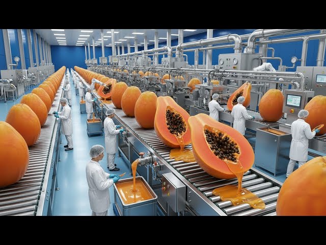 Inside a Papaya Juice Factory: Fresh Papaya to Bottled Juice (Full Process)