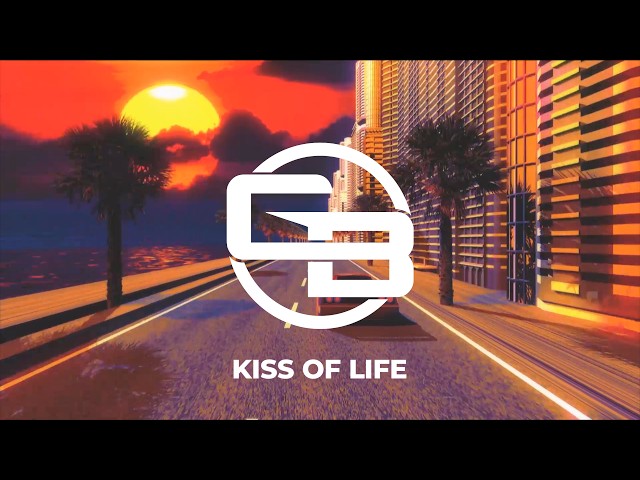 Sade - Kiss Of Life (RICHIE ROZEX Tech House Remix)