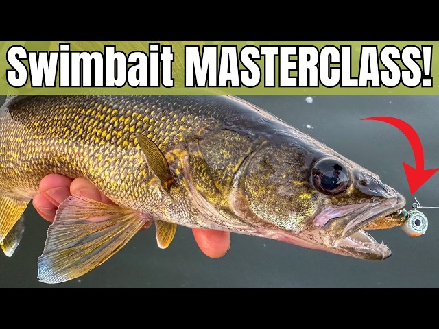 How To Fish SWIMBAITS For Walleye Like A PRO! (3 Easy Steps!)
