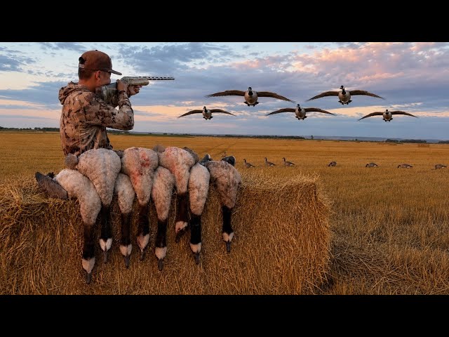 EPIC Opening Day Goose Hunting! (LIMITED OUT)