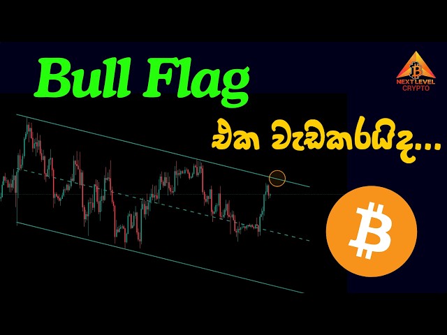 Bull Flag එක වැඩකරයිද... | BTC Update Sinhala