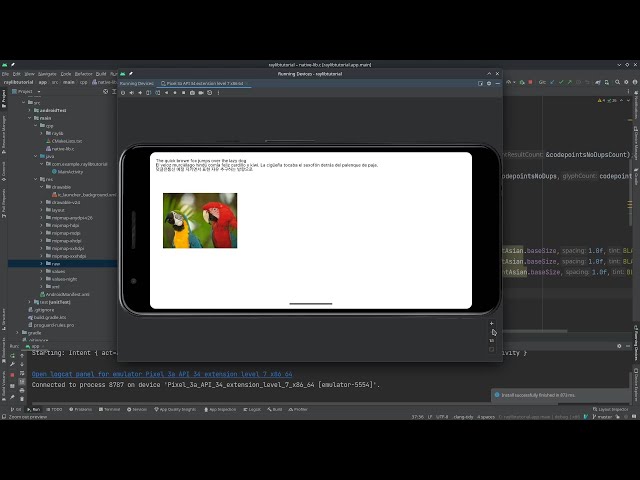 Android Studio NDK App with Raylib(OUTDATED CHECK DESCRIPTION)