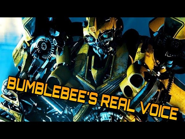 Every Time Bumblebee Used His Voice Box