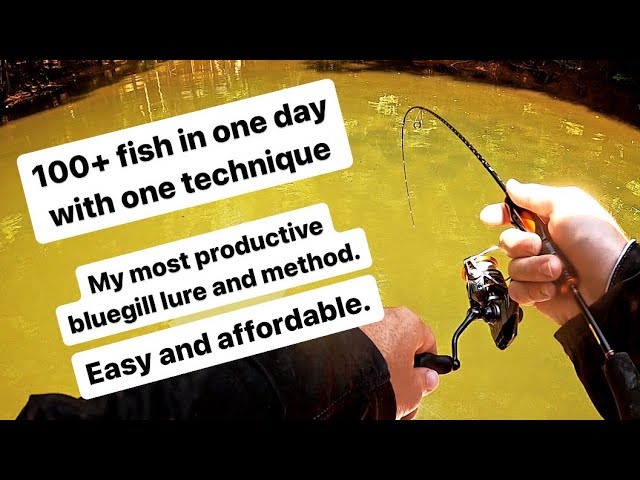 Best Bluegill Lure: I’ve Caught 10,000+ Sunfish On This #ultralightfishing #bluegillfishing #panfish