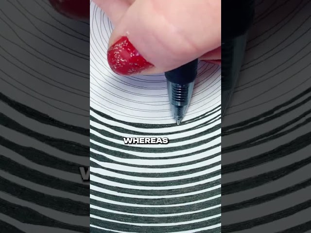 Unique coloring book @caylastoyreview