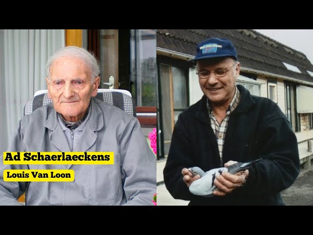 Louis Van Loon & Ad Schaerlaeckens: The Men Who Built the Modern Racing Pigeon