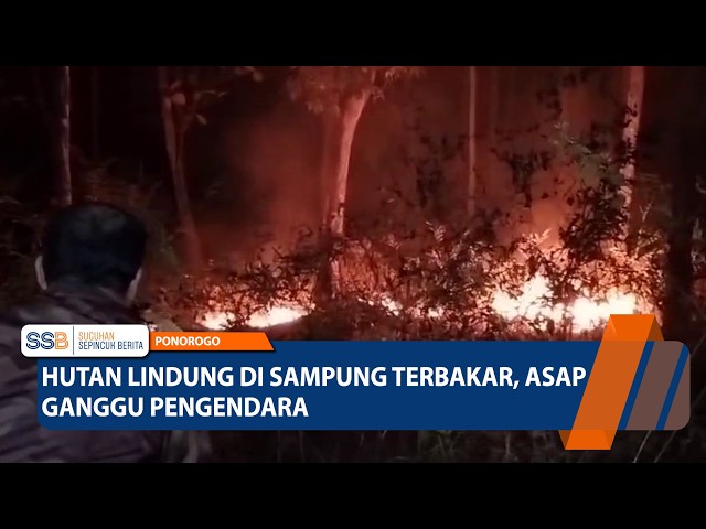 Protected Forest in Sampung Catches Fire, Smoke Disrupts Drivers – PONOROGO