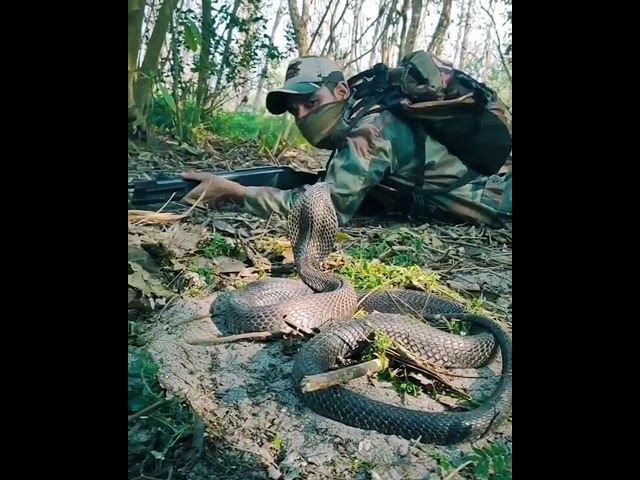 ये होता है भारतीय थल सेना का जजबा