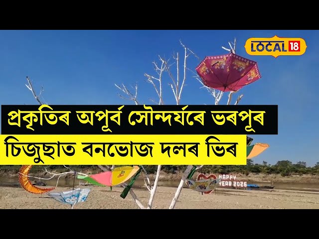 Tezpur Sijusa Picnic Spot : প্ৰকৃতিৰ অপূৰ্ব সৌন্দৰ্যৰে ভৰপূৰ চিজুছাত বনভোজ দলৰ ভিৰ #Local18