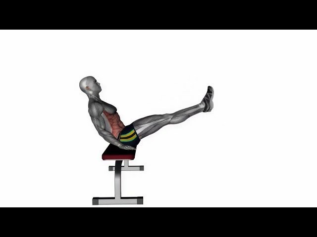 Seated Flutter Kicks - Proper Form & Technique [4K]