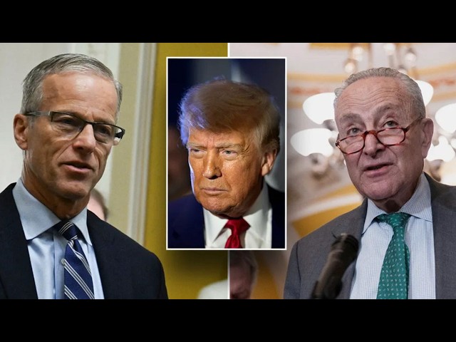 🚨 Massive SAVE Act Bombshell - 'We Have The Votes'