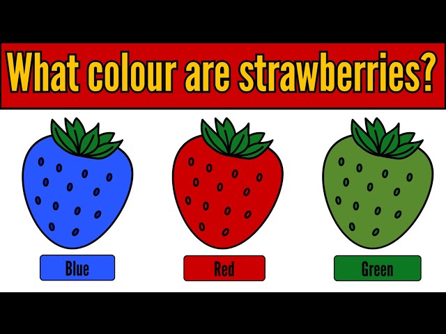 20 Questions GK Quiz for Kids 🧠 | Fun General Knowledge Quiz @YuviSharmaQuiz_tv25 