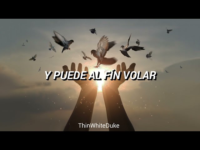 NINO BRAVO - LIBRE // LETRA