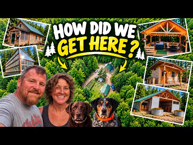 6 Years Ago This Was Just a Dream | Off Grid Property Tour + Halo Collar 5 GPS Dog Collar