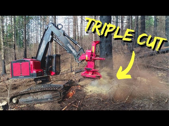 TimberPro TL775D - Triple Cutting Monster Timber