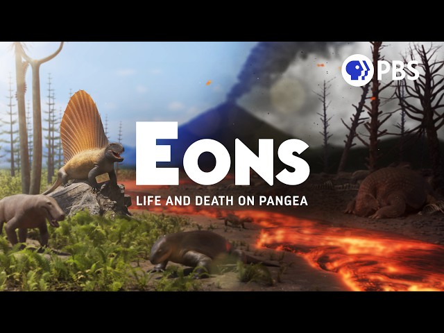 We Made a TV Show!