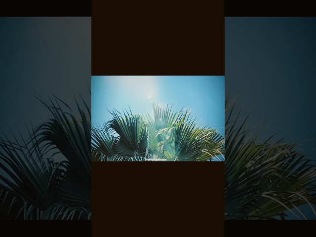 Cinematic filter hai #capcuttutorial #shorts #capcutediting #videoeditingtips #viralreels #viral