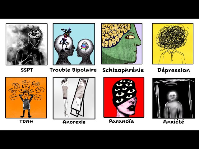 Chaque Trouble Mental Expliqué en 12 Minutes