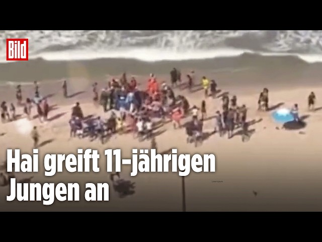 STRAND-HORROR: Zwei Hai-Angriffe in Brasilien in nur 48 Stunden