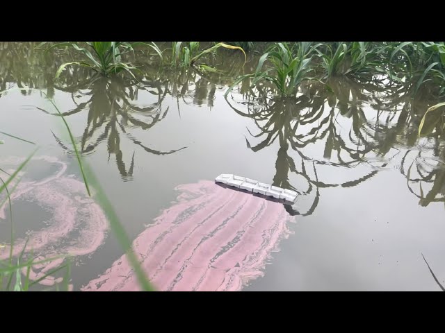 पत्ते पर स्याही डालो और कमाल देखो - mind blowing leaf +Ink experiment 