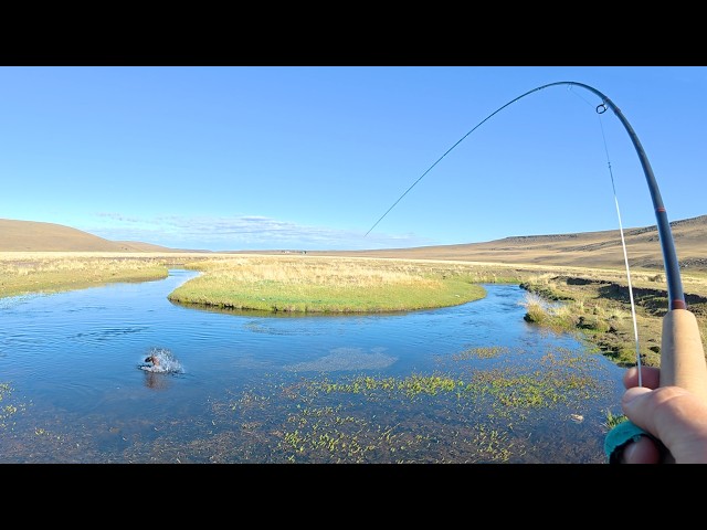 I Visited One of the Best Spring Creeks for Brown Trout - Unforgettable Fly Fishing