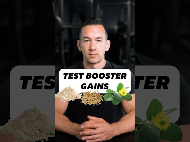 3 Best Natural Testosterone Boosters 💪