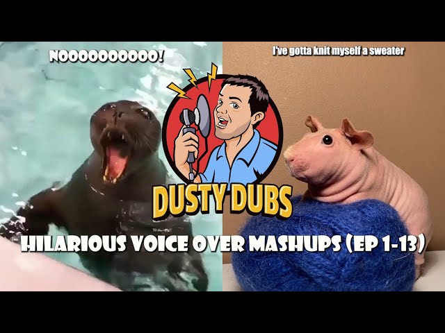 Dusty Dubs Hilarious Animal Voiceover Mashups (Ep 1-13)