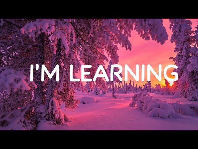 I'm Learning - The Silent Partner (Lyrics)