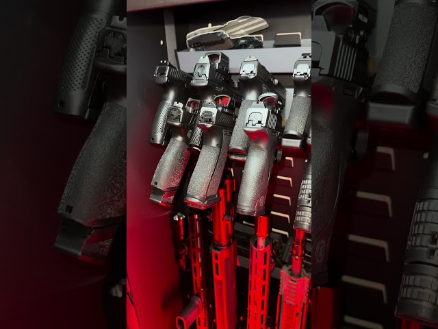 SecureIt Agile 52 Walkthrough! #shorts #guns #freedom