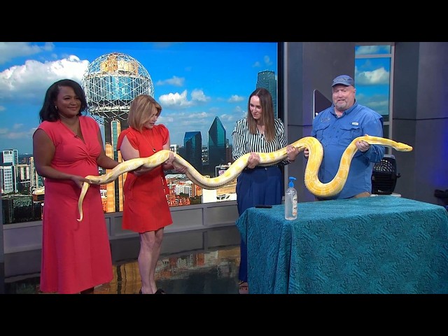 Wildlife on the Move brings critters to WFAA