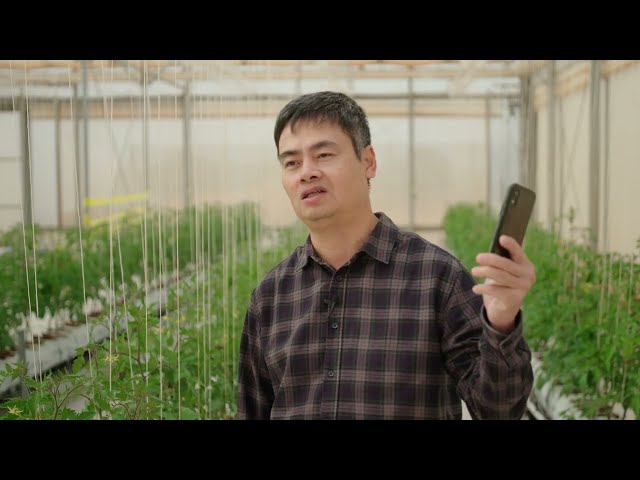 Smart technologies for climate-resilient horticulture