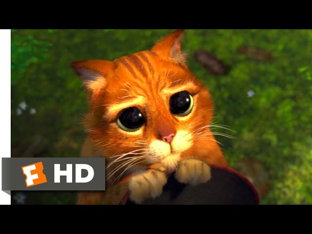 Shrek 2 (2004) - Puss in Boots Scene (3/10) | Movieclips