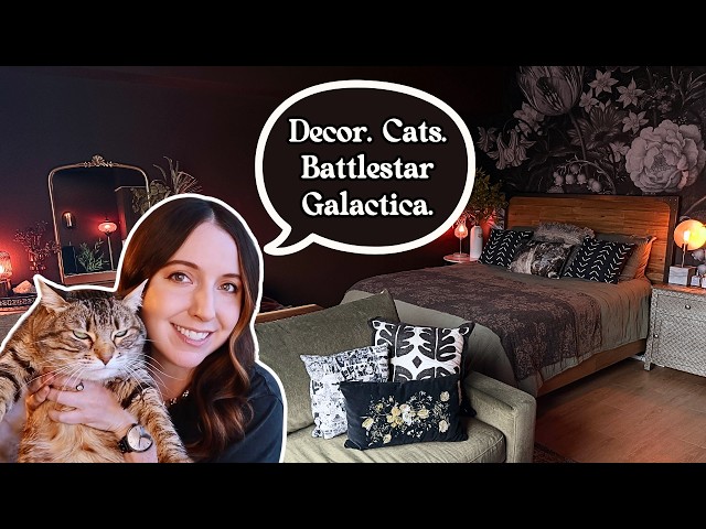 Ask Me Anything: Apartment Styling, Living Alone, and Cat Motherhood 😽