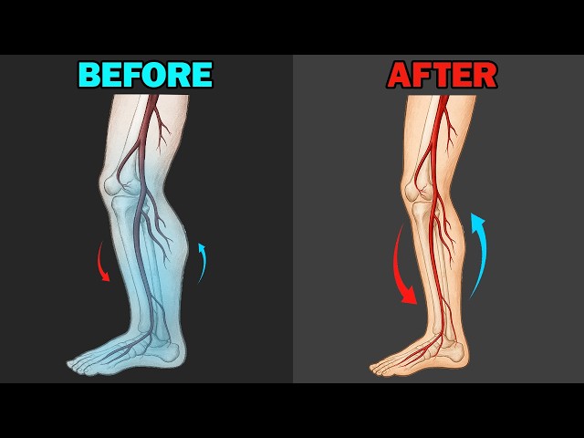 Increase Leg Circulation BY 60% … at home with 3 simple exercises