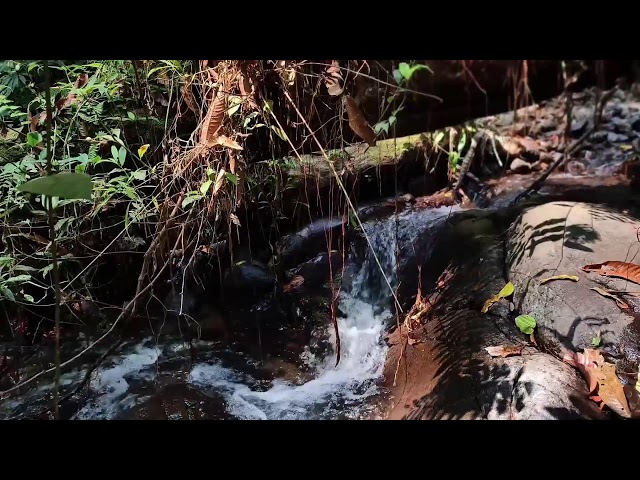 Relaxing Music, Sleep Music, Water Sounds, Meditation Music, Soothing Piano for Inner Calm