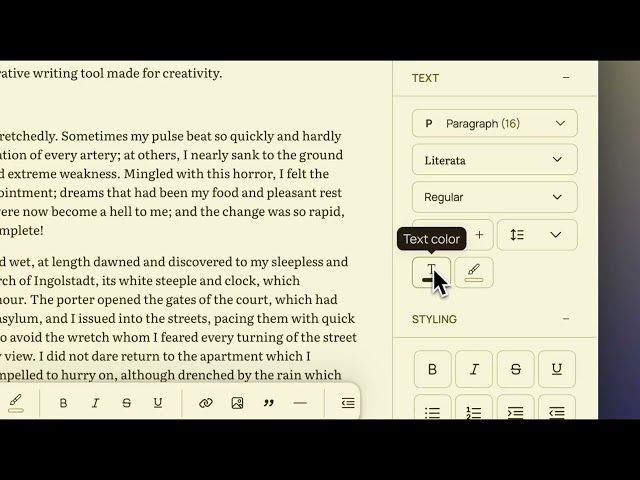 How to format documents on Ellipsus -- Editor settings, font-setting (global styling)