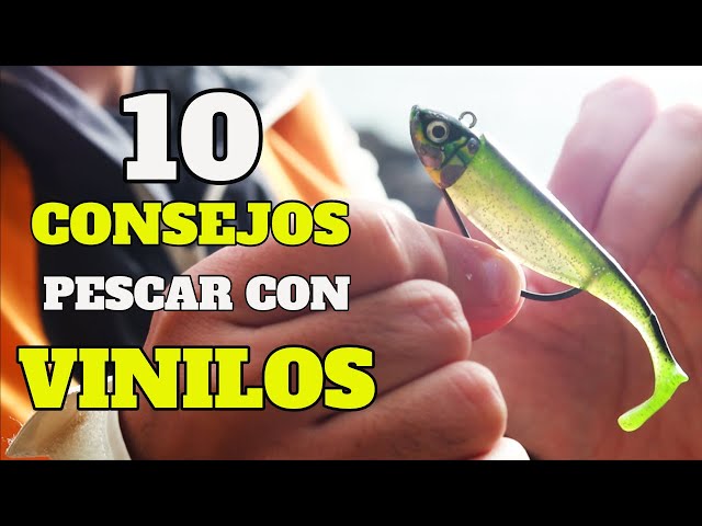 10 CONSEJOS para PESCAR con VINILOS