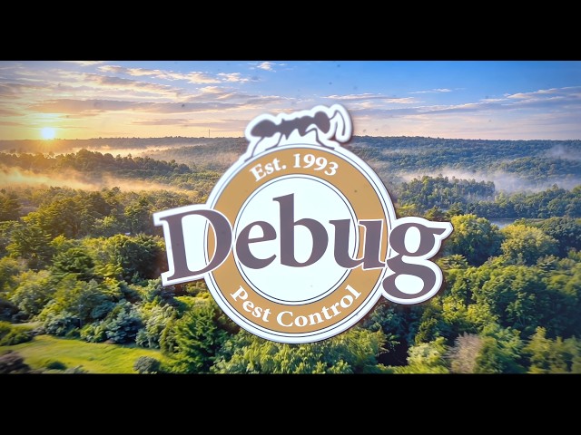 Meet Bugfoot™ | Debug Pest Control’s Official Mascot