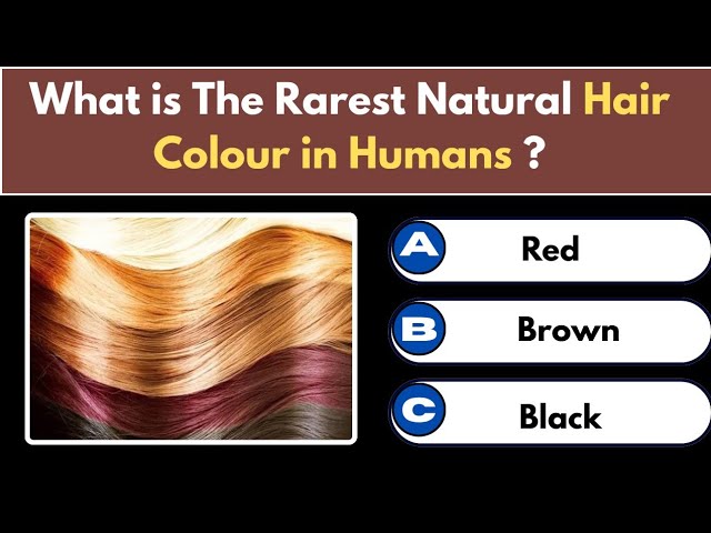 The Ultimate General Knowledge Quiz | 30 Questions to Test Your Knowledge
