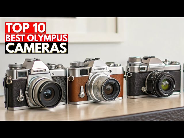 10 Best Olympus Cameras You Can Buy in 2026 - Mirrorless, Compact & Professional Picks