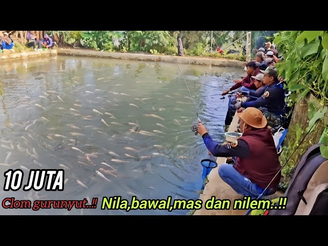 PESTA STRIKE CLOM GURUNYUT..!! Mancing borongan 10 juta di pasir huni cimaung