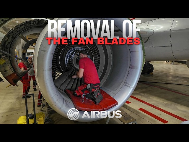 How to remove and install fan blades on Airbus A320