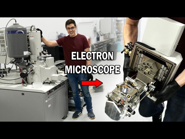 I want what's inside my SEM (Part 1)